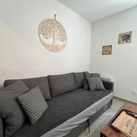 Fenix Appartement T2 40 M2 Cosy Rdc Plein Centre Ville 피에르랏트 외부 사진