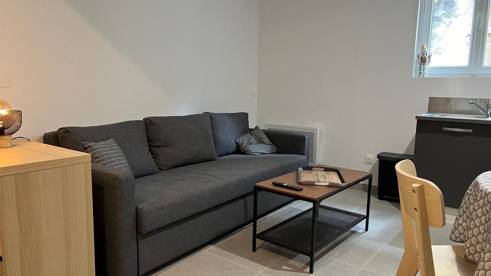Fenix Appartement T2 40 M2 Cosy Rdc Plein Centre Ville 피에르랏트 외부 사진