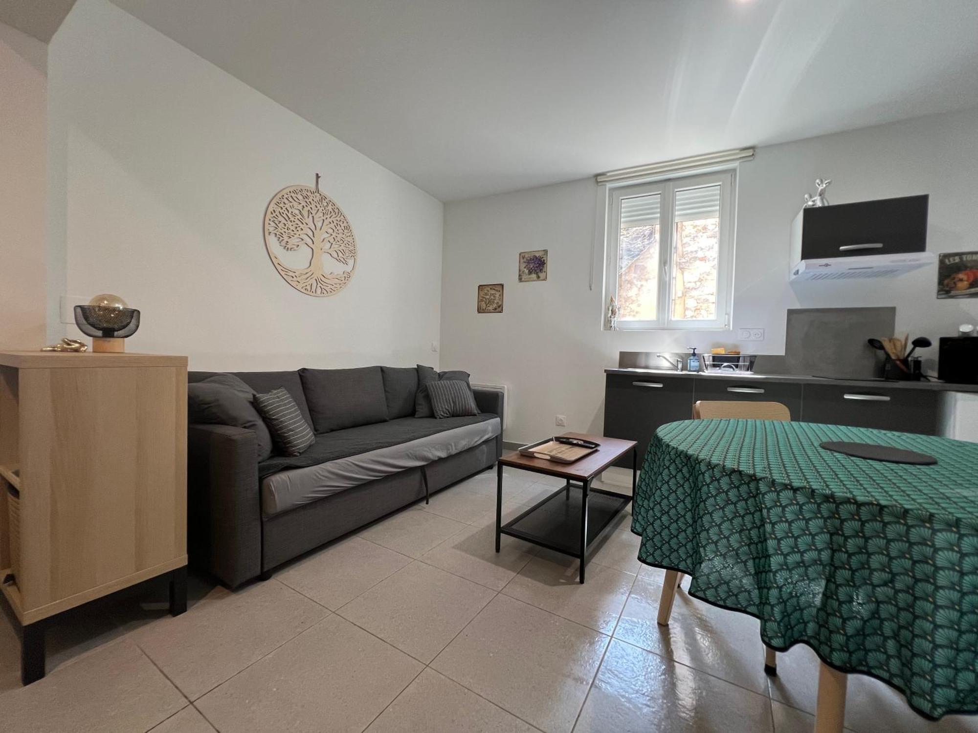 Fenix Appartement T2 40 M2 Cosy Rdc Plein Centre Ville 피에르랏트 외부 사진
