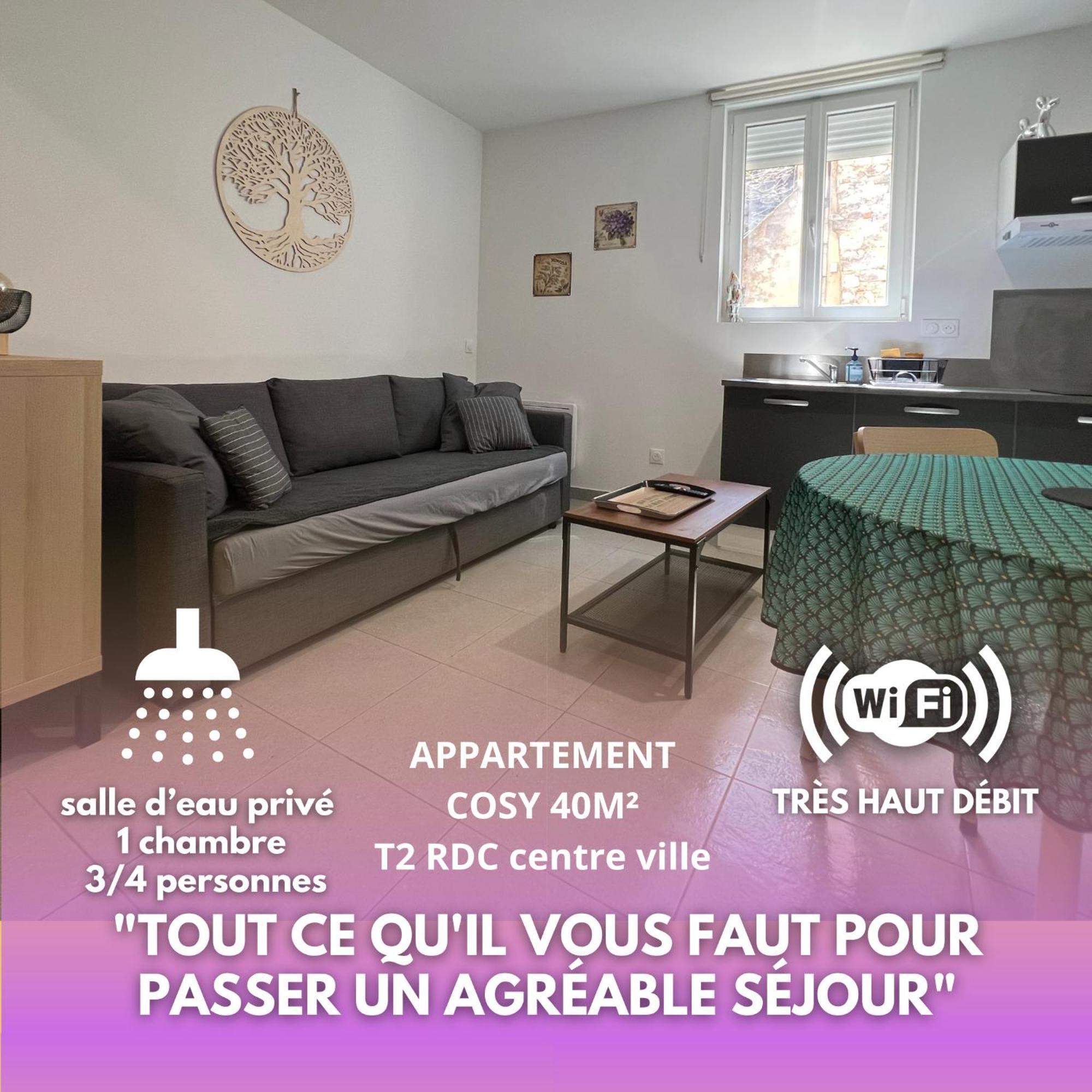 Fenix Appartement T2 40 M2 Cosy Rdc Plein Centre Ville 피에르랏트 외부 사진